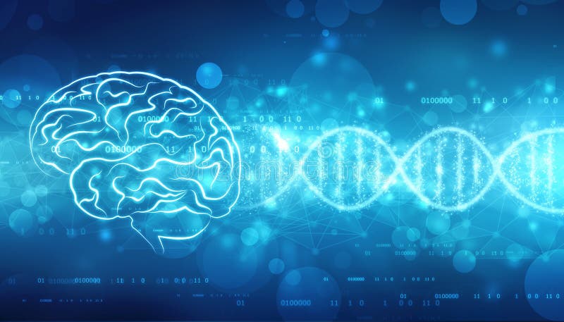 Ejemplo de Digitaces de la estructura del cerebro humano, fondo creativo del concepto del cerebro, stock de ilustración Ejemplo de Digitaces de la estructura del cerebro humano, fondo creativo del concepto del cerebro, stock de ilustración