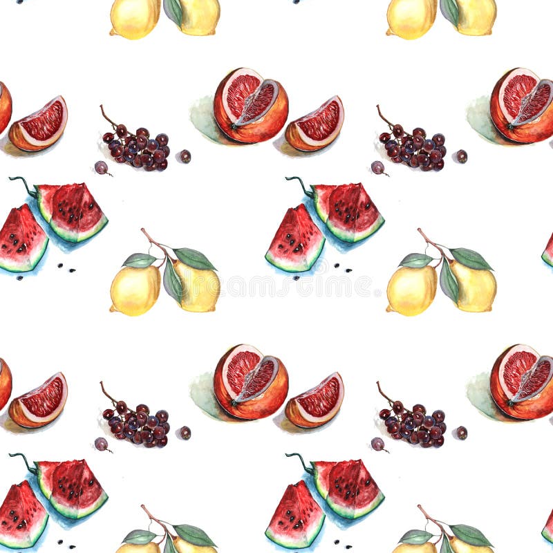 Ejemplo de la acuarela del modelo de la fruta ilustración del vector Ejemplo de la acuarela del modelo de la fruta ilustración del vector