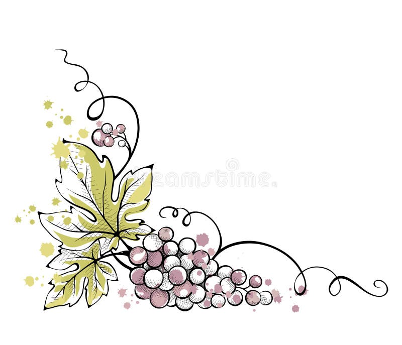 Ejemplo de la acuarela -- manojo de uvas