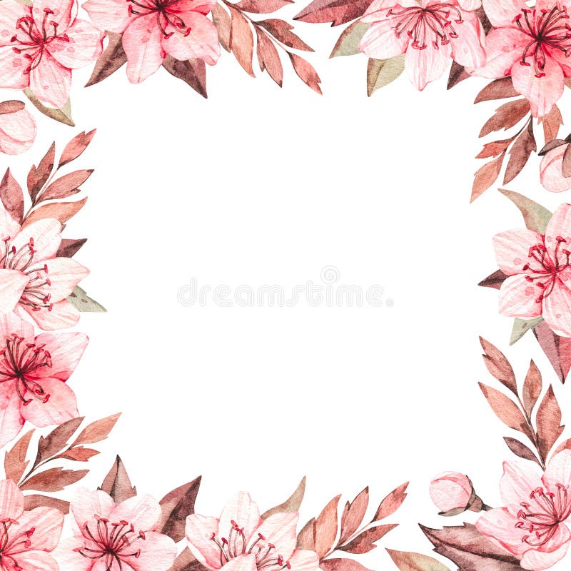 Ejemplo de la acuarela de la primavera Floraci?n de Sakura Cereza Marco botánico con las flores y las hojas rosadas Elementos flo ilustración del vector Ejemplo de la acuarela de la primavera Floraci?n de Sakura Cereza Marco botánico con las flores y las hojas rosadas Elementos flo ilustración del vector