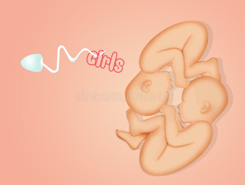 Illustration of twins female announcement. Illustration of twins female announcement