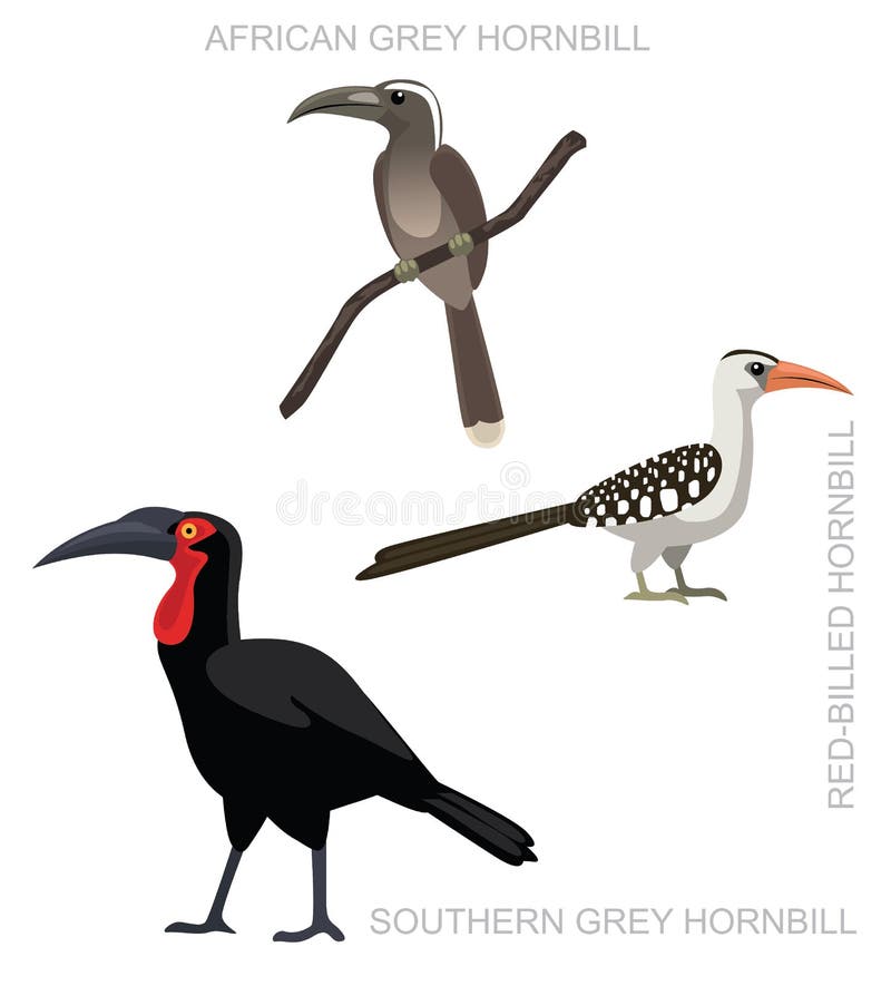 Ejemplo de tierra africano del vector de la historieta del sistema del Hornbill del pájaro stock de ilustración Ejemplo de tierra africano del vector de la historieta del sistema del Hornbill del pájaro stock de ilustración