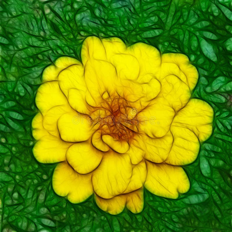 Ejemplo de una maravilla solitaria en la plena floración stock de ilustración Ejemplo de una maravilla solitaria en la plena floración stock de ilustración