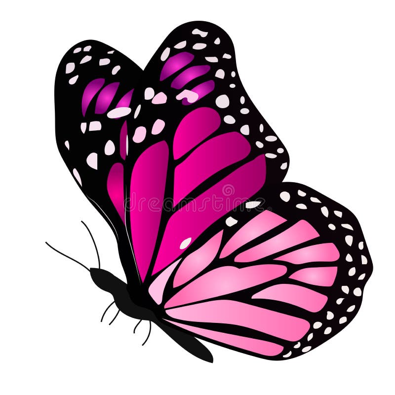 Ejemplo De Una Mariposa Colorida Ilustración del Vector Ilustración