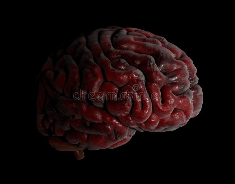 Ejemplo del cerebro humano 3d en fondo negro ilustración del vector Ejemplo del cerebro humano 3d en fondo negro ilustración del vector
