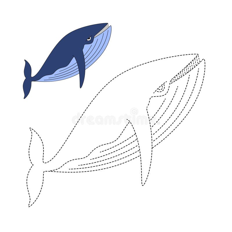 Ejemplo De La Ballena Para Los Niños Ilustración del Vector - Ilustración  de ejemplo, animal: 140599650