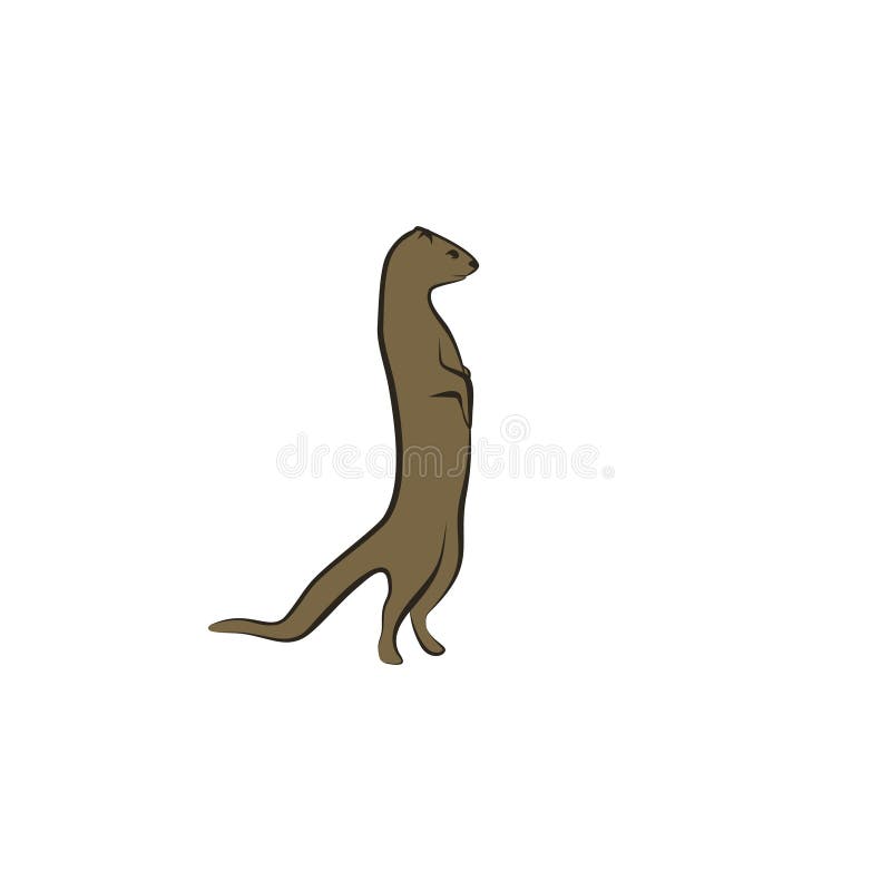 Mangosta congregada imagen de archivo. Imagen de mamífero 45472011