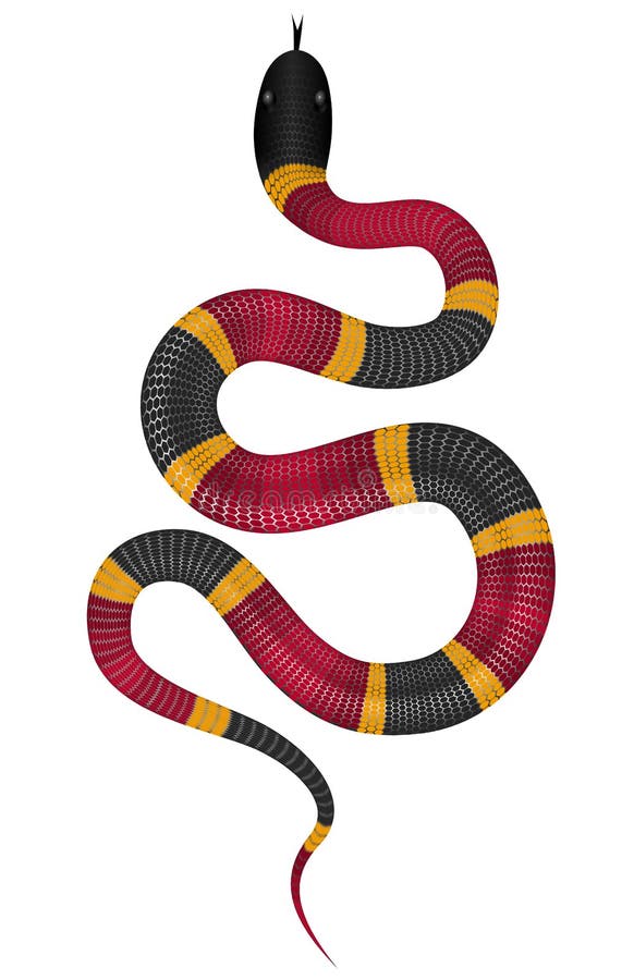 Ejemplo del vector de la serpiente coralina
