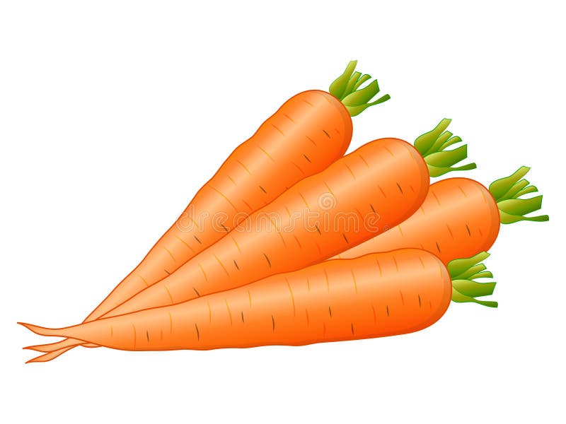 Contraindicaciones de la zanahoria