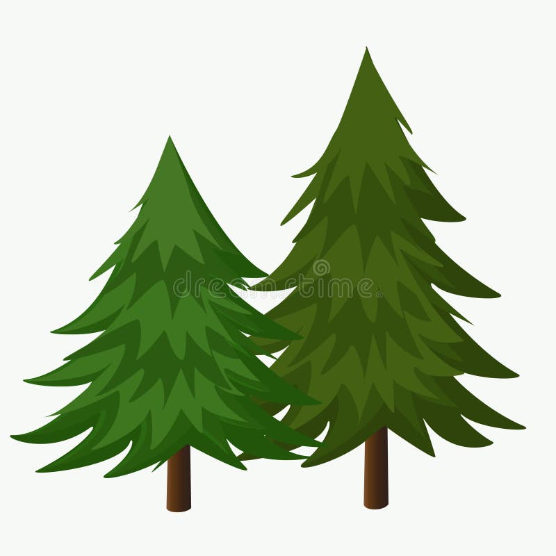 Ejemplo del vector de los árboles de pino Árbol conífero