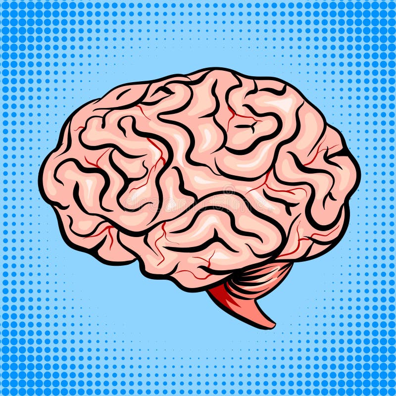 Ejemplo del vector del estilo del arte pop del cerebro humano libre illustration