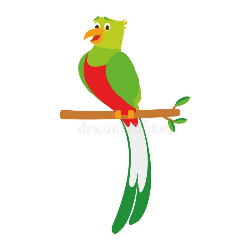 Ejemplo Lindo Del Vector Del Quetzal De La Historieta Ilustración del  Vector - Ilustración de bosque, animal: 69053326