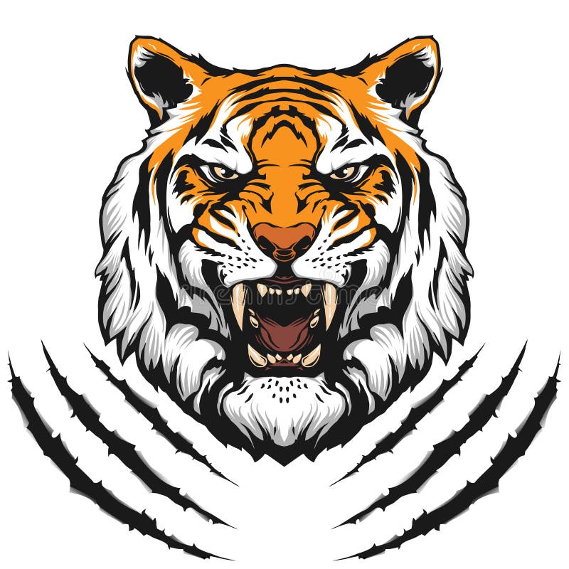 Ejemplo principal del tigre