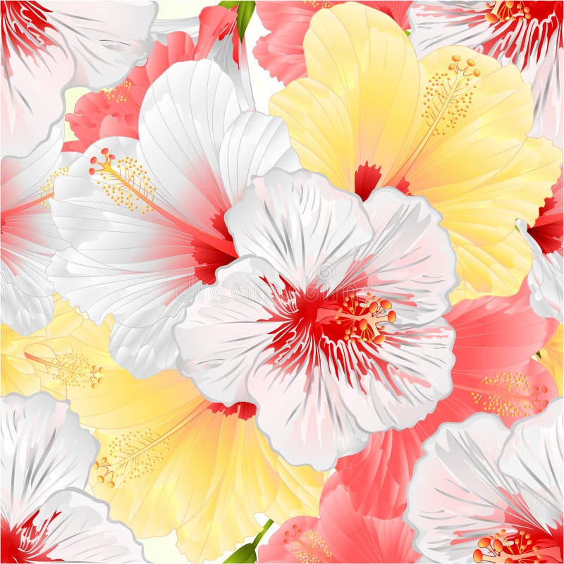 Ejemplo rosado de la textura inconsútil y del yelow blanco de la planta tropical del hibisco del fondo natural del vintage del ve stock de ilustración