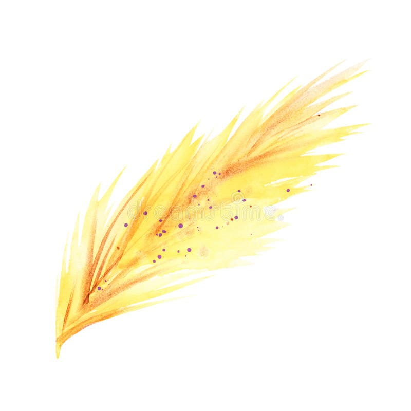 Ejemplos de la pluma del boho de la acuarela Sistema del clip art de Pascua, aislado en el fondo blanco ilustración del vector Ejemplos de la pluma del boho de la acuarela Sistema del clip art de Pascua, aislado en el fondo blanco ilustración del vector