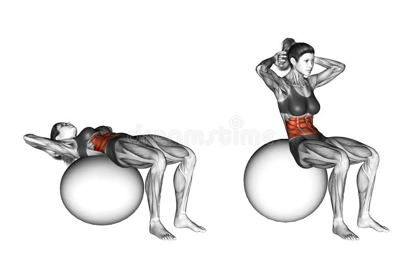 Ejercicio de Fitball Crujido de la bola hembra ilustración del vector Ejercicio de Fitball Crujido de la bola hembra ilustración del vector