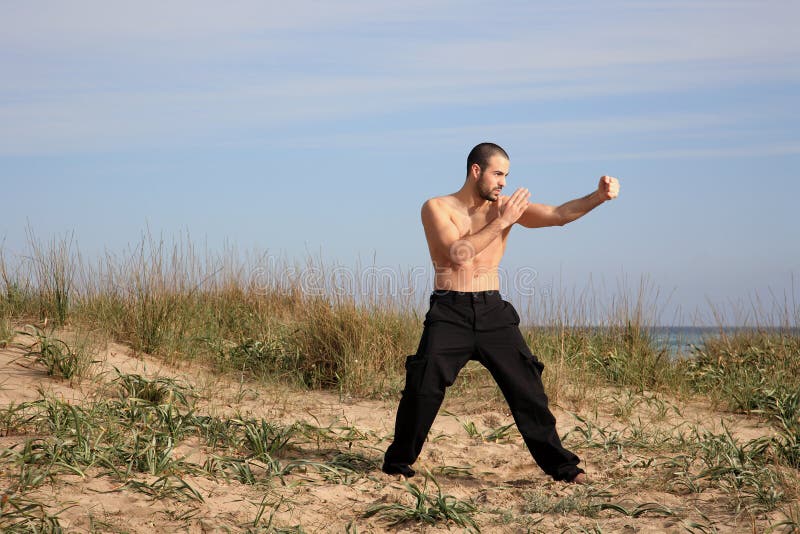 Ejercicio del instructor de los artes marciales al aire libre imagen de archivo Ejercicio del instructor de los artes marciales al aire libre imagen de archivo