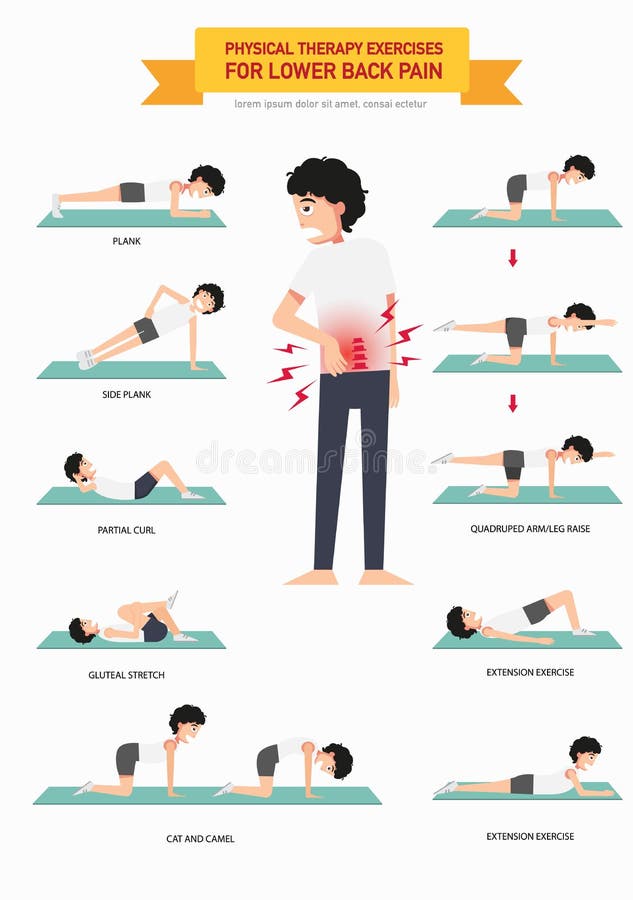 Ejercicios de la terapia física para un dolor más de espalda infographic