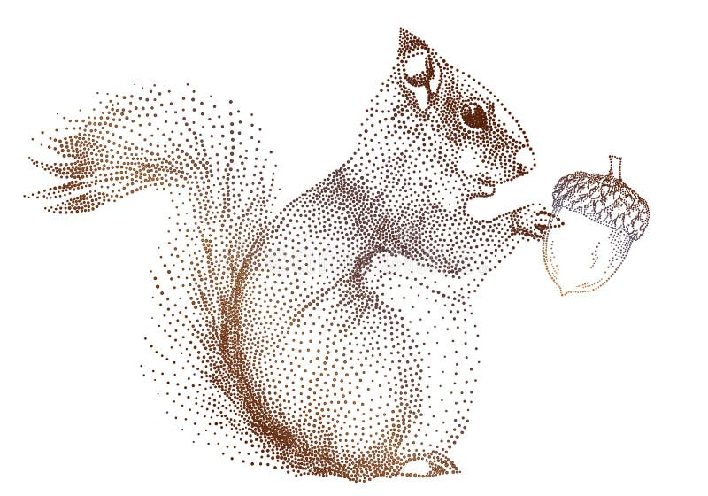 Ekollonekorrevektor vektor illustrationer