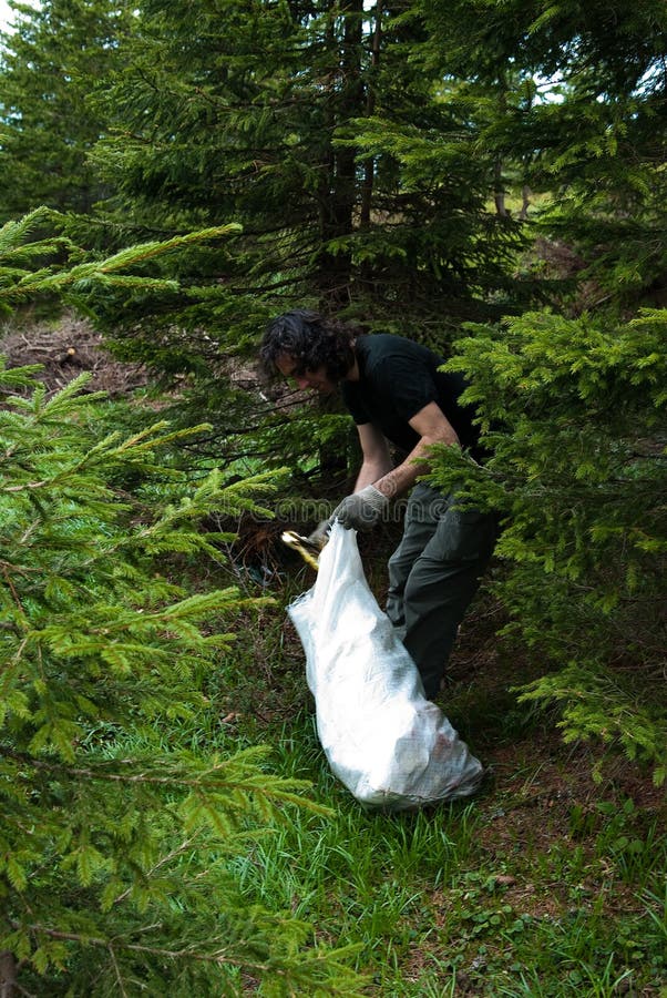 Image of a man gathering garbage from a wood during campaign of cleaning forest in Fagaras mountain, Barcaciu shelter. Image of a man gathering garbage from a wood during campaign of cleaning forest in Fagaras mountain, Barcaciu shelter