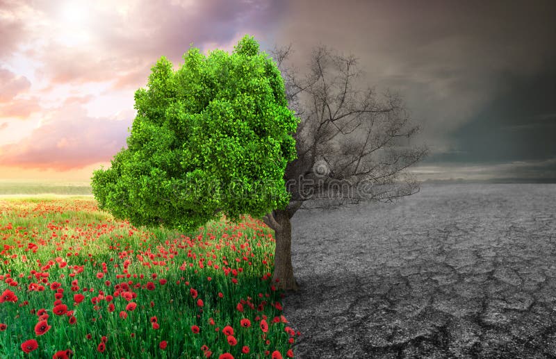 Ekologiczny pojęcie z drzewem i klimatem