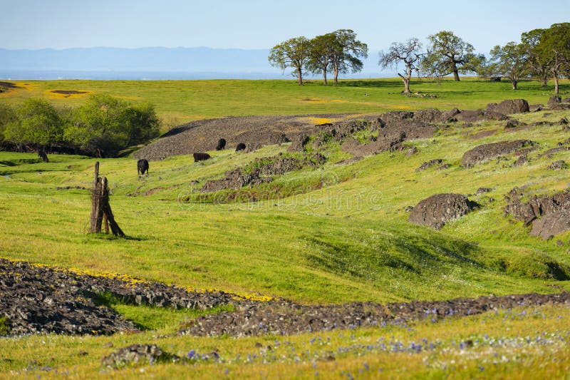Ekologisk reserv för norr tabellberg, Oroville, Kalifornien royaltyfri bild Ekologisk reserv för norr tabellberg, Oroville, Kalifornien royaltyfri bild
