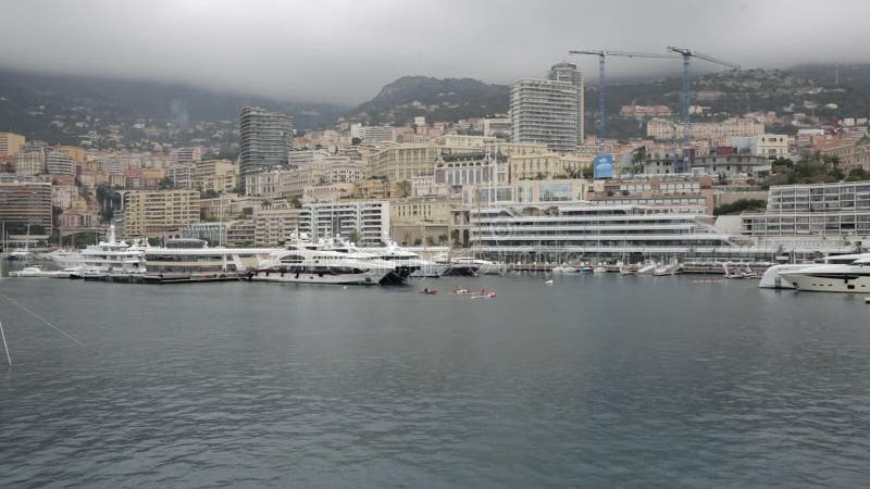 Ekor Monaco