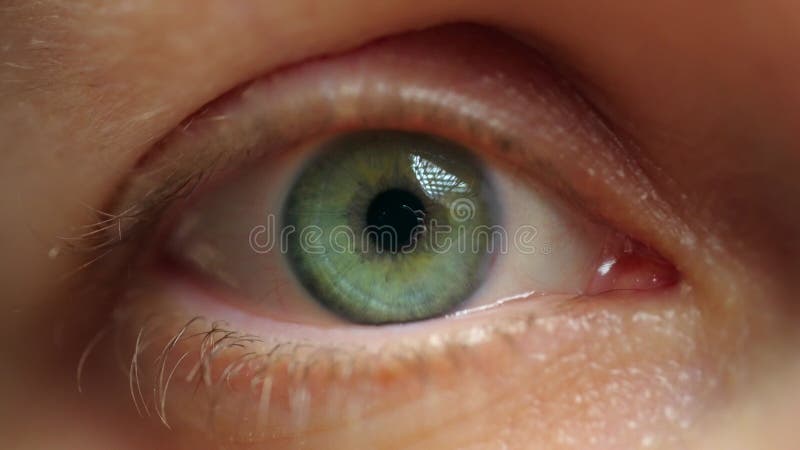Ekstremalne zbliżenie kobiety mrugającej pięknym okiem z zielonym tęczówką