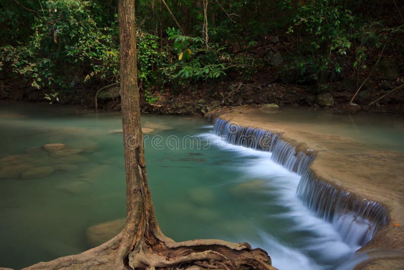 Tree root appalachian, branch, at waterfall water. Tree root appalachian, branch, at waterfall water