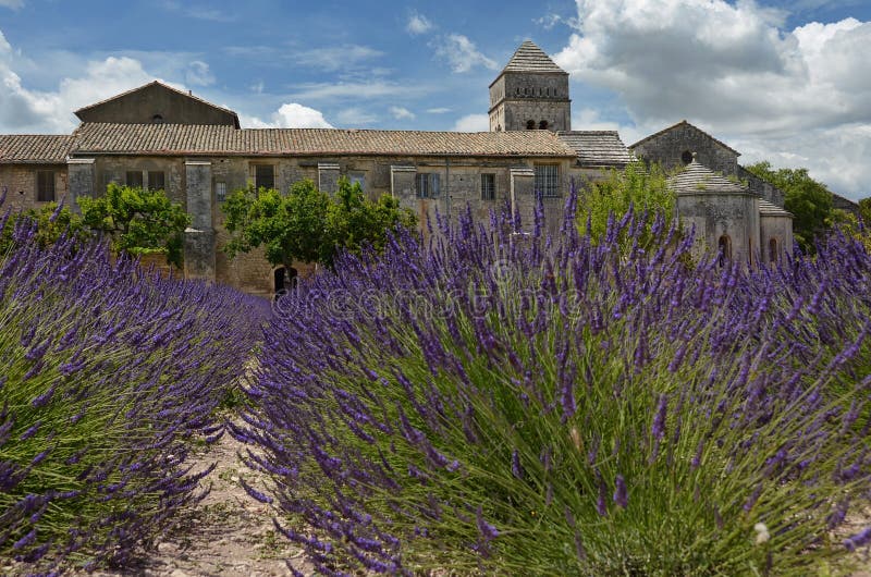 Lavender field in Vincent van Gogh's Saint-Paul Asylum in Saint-Remy, France. Lavender field in Vincent van Gogh's Saint-Paul Asylum in Saint-Remy, France