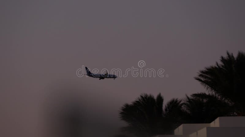 El avión aterriza en un país tropical El avión se sienta en el fondo de las palmeras al atardecer