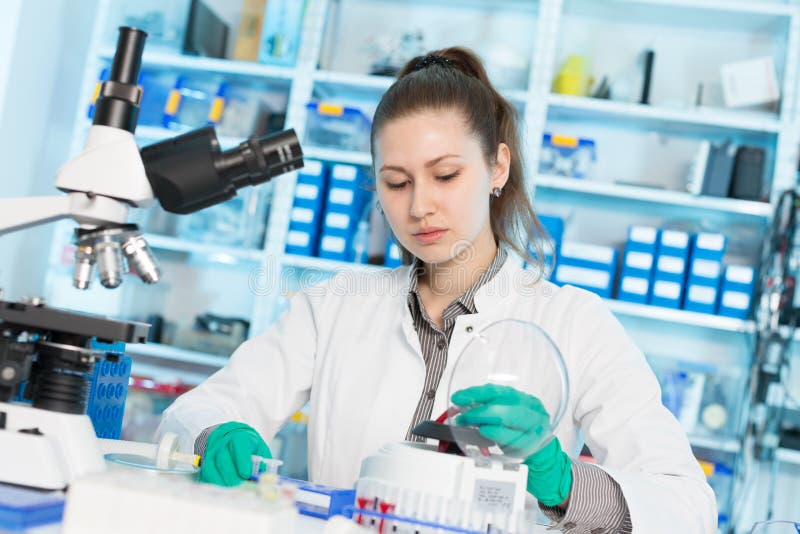 El ayudante de laboratorio de la mujer fija los tubos micro de la prueba de la polimerización en cadena en un centavo fotografía de archivo libre de regalías El ayudante de laboratorio de la mujer fija los tubos micro de la prueba de la polimerización en cadena en un centavo fotografía de archivo libre de regalías