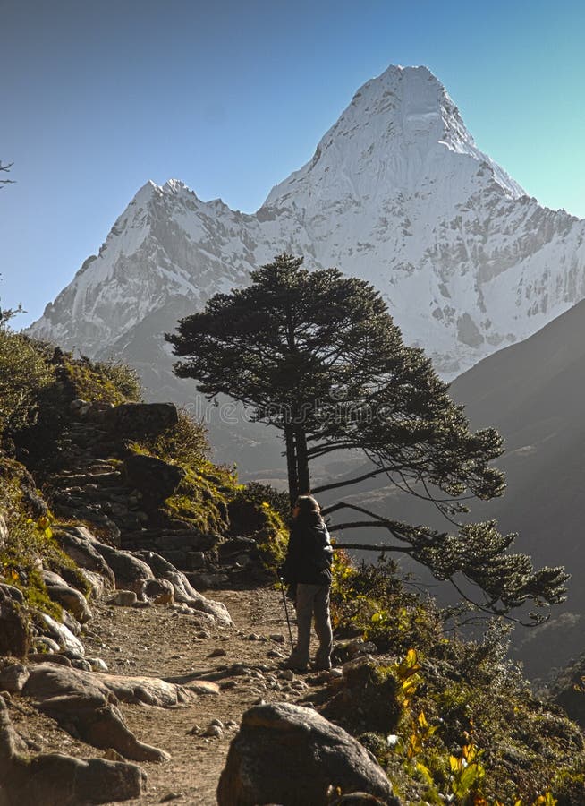 El Backpacking en Nepal imagen editorial. Imagen de disfrutar 24184995