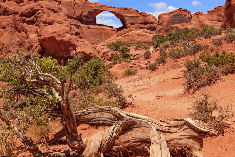El barranco de la roca del arco del horizonte arquea el parque nacional Moab Utah imagenes de archivo El barranco de la roca del arco del horizonte arquea el parque nacional Moab Utah imagenes de archivo