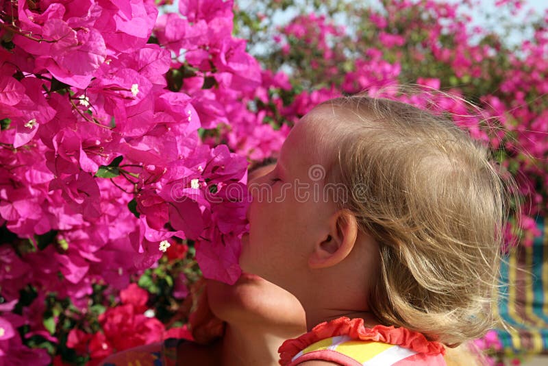 El bebé huele las flores imagen de archivo. Imagen de color - 65534095
