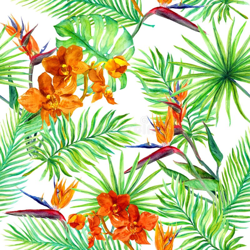 El bosque tropical se va, las flores exóticas - orquídea salvaje, flor del pájaro Modelo inconsútil watercolor stock de ilustración El bosque tropical se va, las flores exóticas - orquídea salvaje, flor del pájaro Modelo inconsútil watercolor stock de ilustración