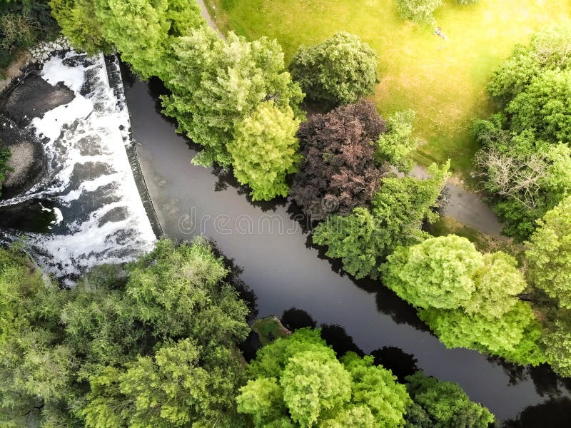 El bosque y la cascada imágenes de archivo libres de regalías El bosque y la cascada imágenes de archivo libres de regalías
