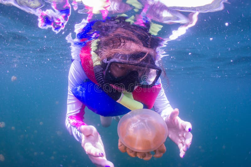 El bucear en el lago jellyfish con el chaleco salvavidas imagenes de archivo El bucear en el lago jellyfish con el chaleco salvavidas imagenes de archivo