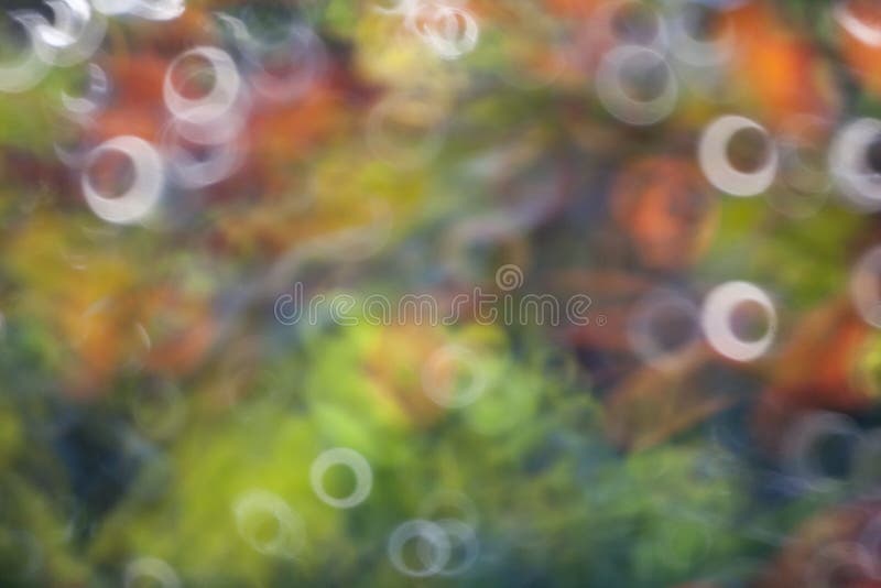 Colorful donut rings Bokeh background. Colorful donut rings Bokeh background.