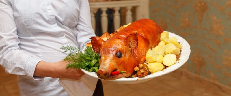 El camarero sostiene un cerdo a la parrilla en un plato blanco con patatas hervidas, perejil fresco, eneldo y ajà caliente rojo. fotografía de archivo libre de regalías El camarero sostiene un cerdo a la parrilla en un plato blanco con patatas hervidas, perejil fresco, eneldo y ajà caliente rojo. fotografía de archivo libre de regalías