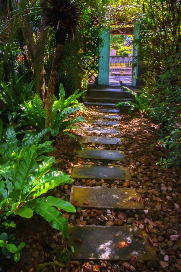 A path leading towards the gate. Tropical garden feel is great in here. A path leading towards the gate. Tropical garden feel is great in here