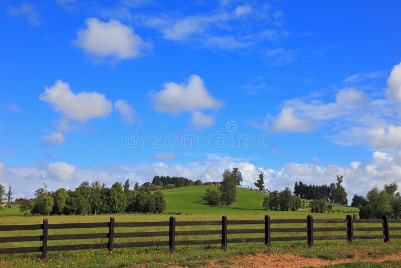 El Campo Cercado Con La Cerca Fuerte Baja Imagen de archivo Imagen de