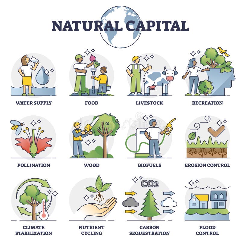 El capital natural como recursos ambientales y el esquema de la recogida de activos