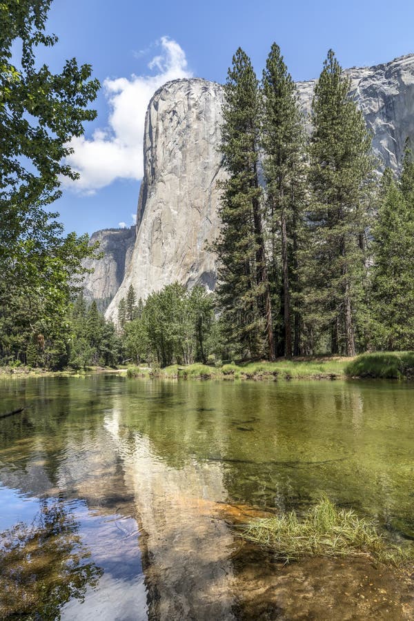 The iconic granite rock monolith, El Capitan, is reflected upon the waters of the Merced River in Yosemite Valley, found in the Sierra Nevada Mountains of California. The iconic granite rock monolith, El Capitan, is reflected upon the waters of the Merced River in Yosemite Valley, found in the Sierra Nevada Mountains of California