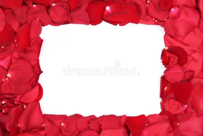 Frame from petals of red roses flowers on Valentine's and mothers day with copyspace. Frame from petals of red roses flowers on Valentine's and mothers day with copyspace