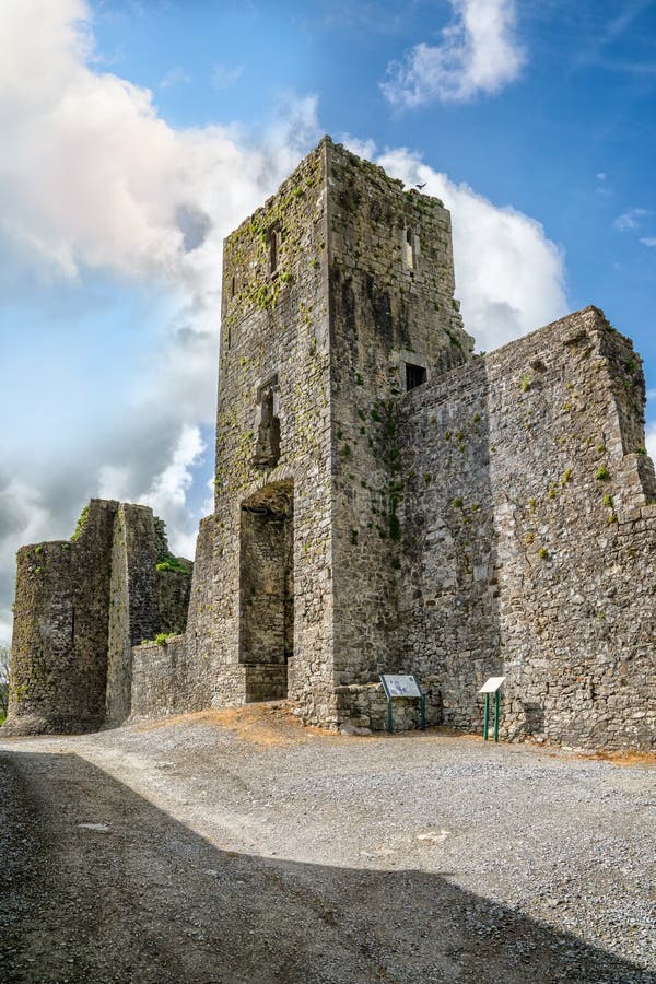 El Castillo de Liscarroll es una ciudad del condado de Cork imágenes de archivo libres de regalías El Castillo de Liscarroll es una ciudad del condado de Cork imágenes de archivo libres de regalías