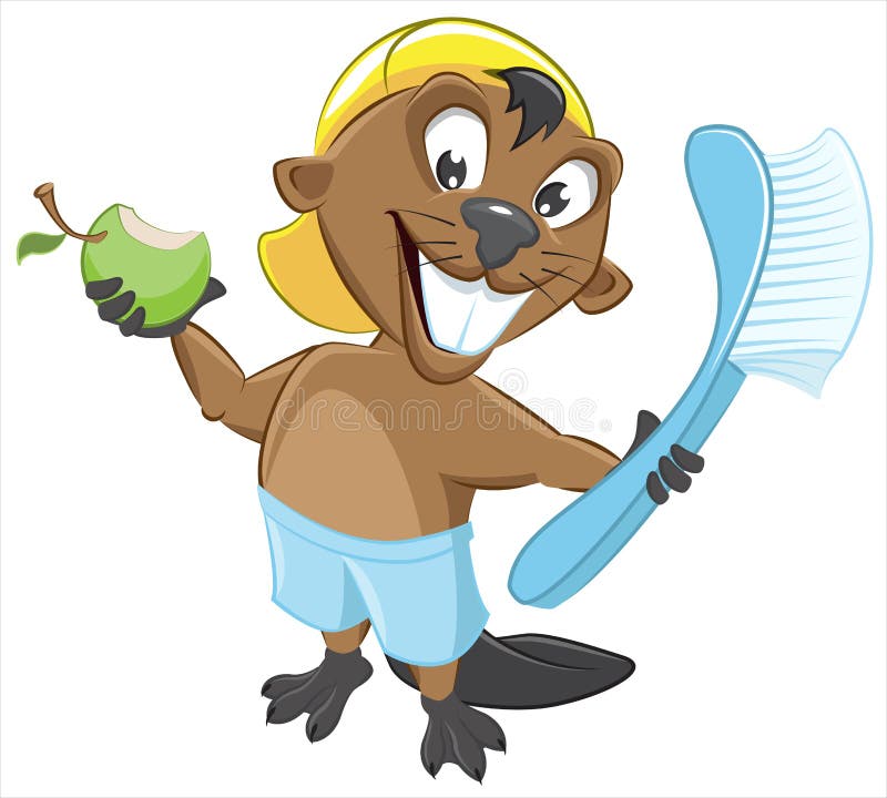 Dientes De La Limpieza Del Castor Ilustración del Vector Ilustración
