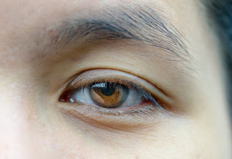 El centro asiático envejeció ojos marrones de la mujer con las arrugas u imagen de archivo libre de regalías El centro asiático envejeció ojos marrones de la mujer con las arrugas u imagen de archivo libre de regalías