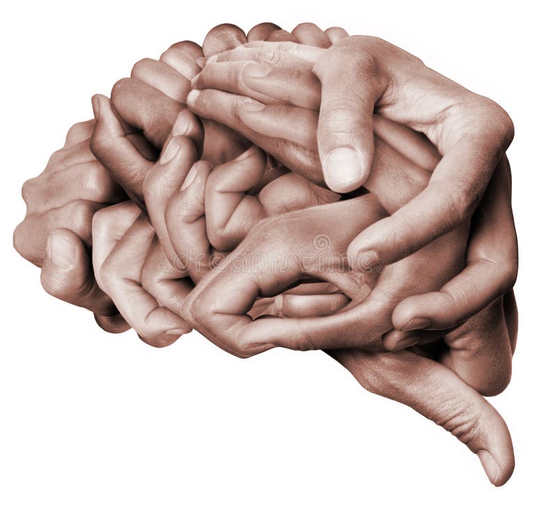 El cerebro humano hizo el ‹del â€ del ‹del â€ con las manos