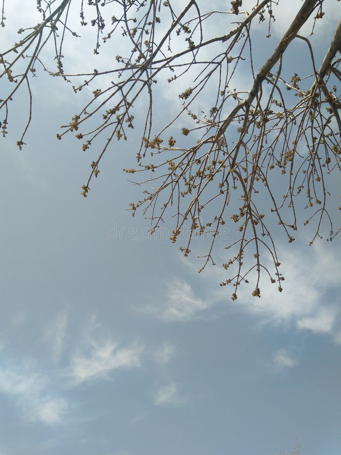 El cielo natural es pacífico y tranquilo foto de archivo El cielo natural es pacífico y tranquilo foto de archivo